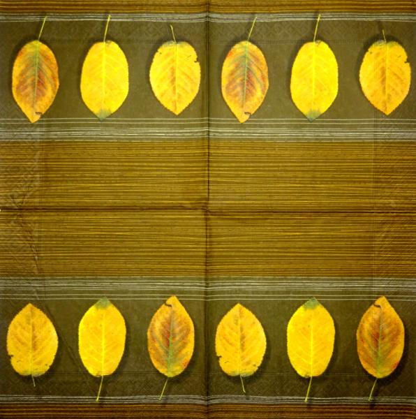 001 Pflanzen - 3 lagig - Molca